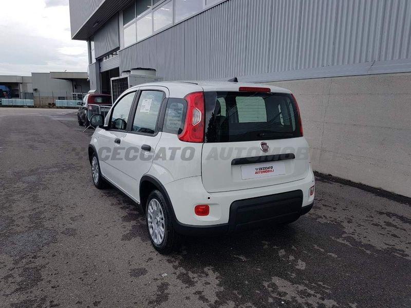 FIAT Panda 1.0 70cv Hybrid Panda