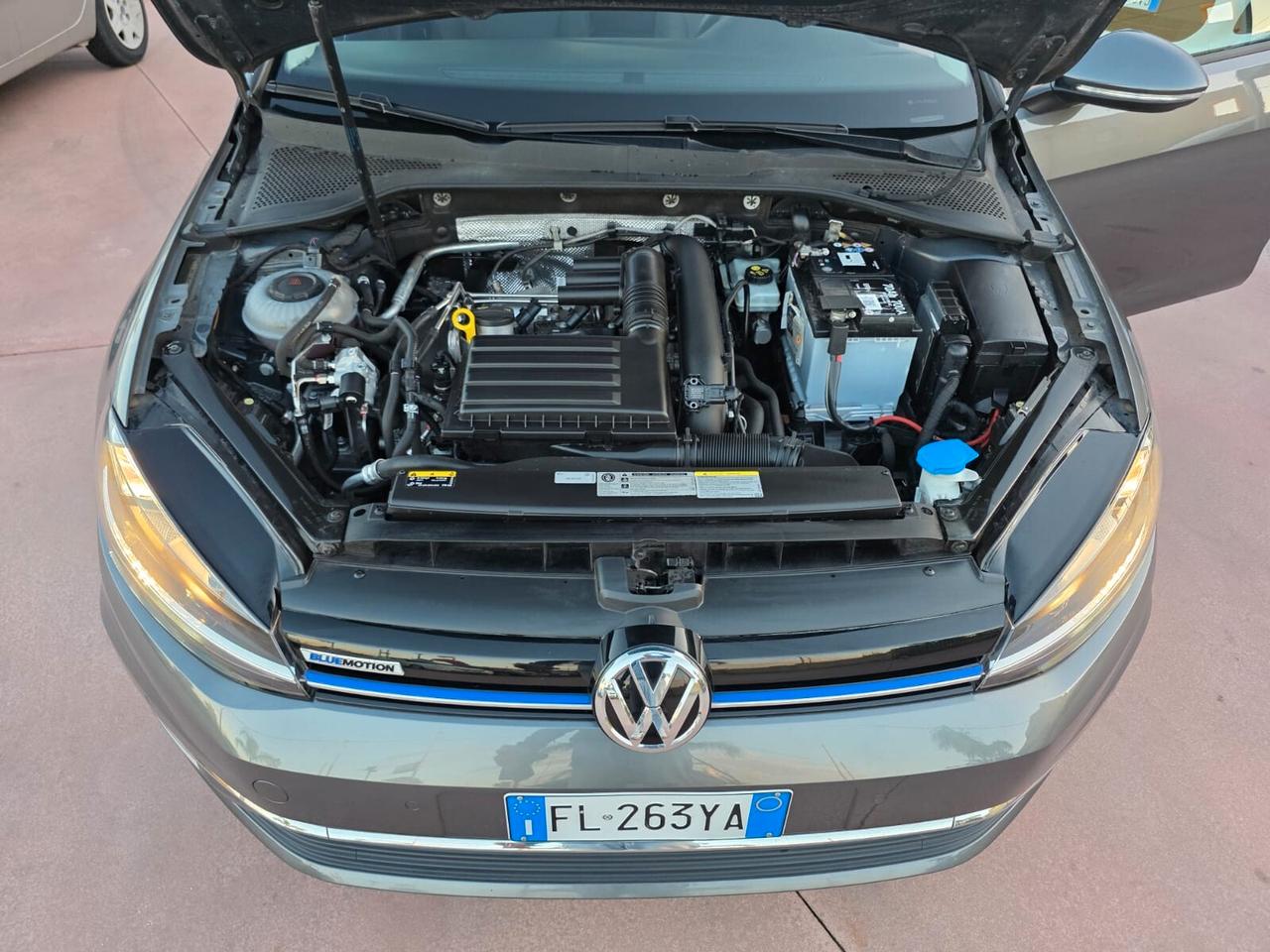 Volkswagen Golf 1.4 TGI 5p. Highline BlueMotion