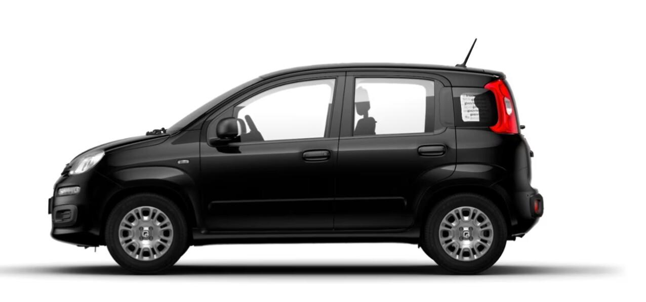 Fiat Panda Pandina 1.0 FireFly 65 CV Hybrid Pop