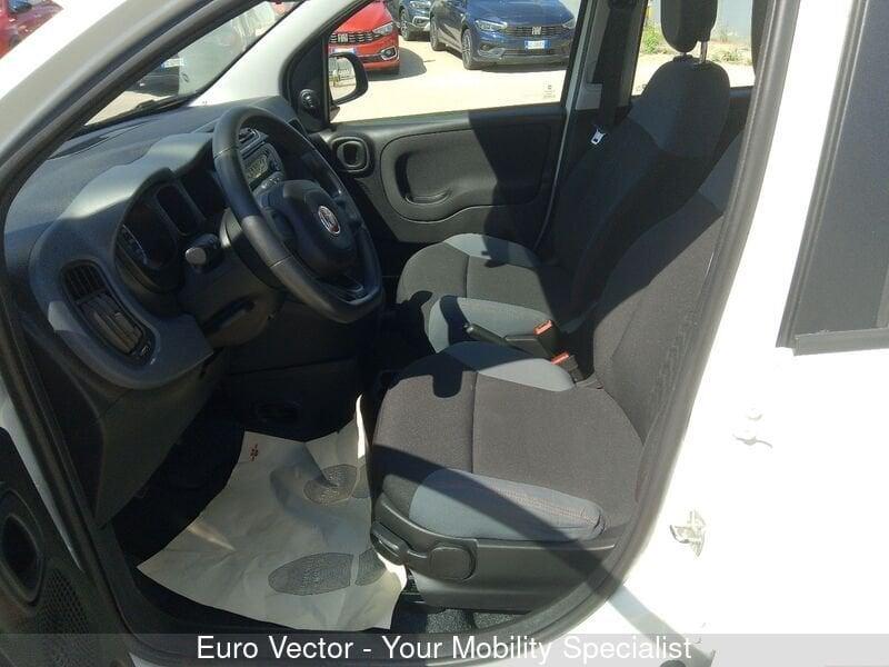 FIAT Panda Panda 1.0 FireFly S&S Hybrid Launch Edition