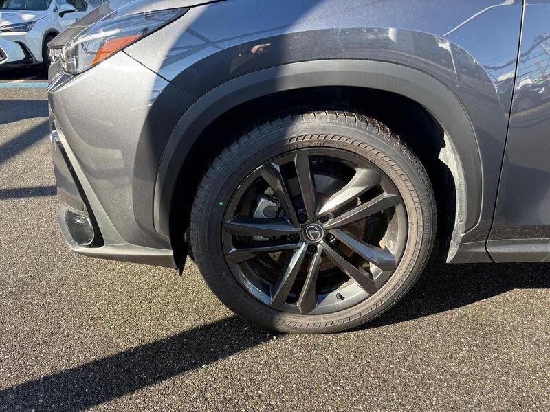 Lexus NX Plug-in Premium+ 4WD