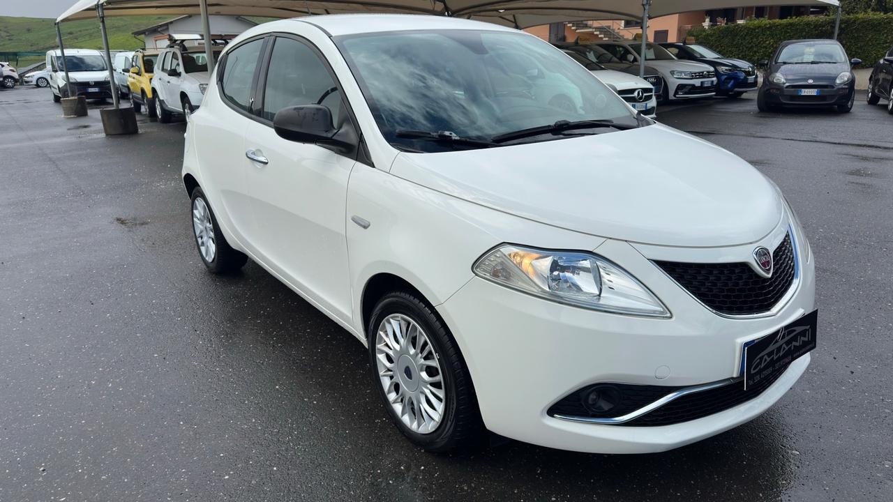 Lancia Ypsilon 1.3 MJT 16V 95 CV 5 porte S&S Silver