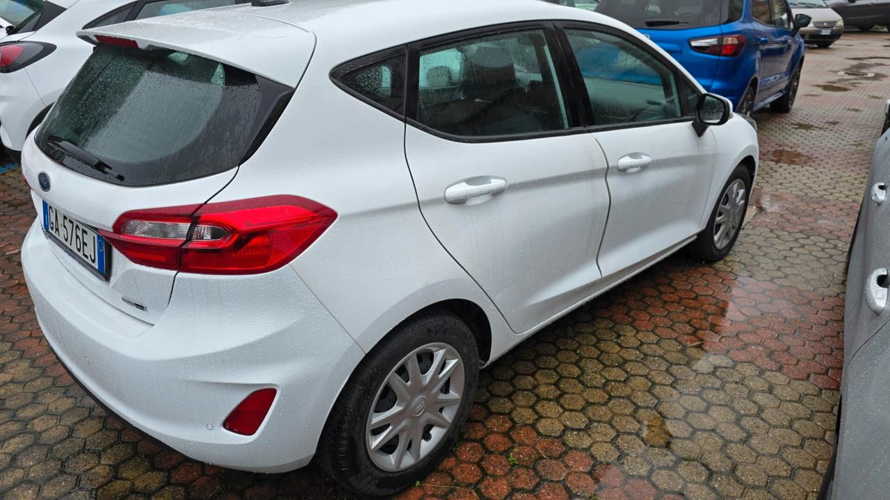 Ford Fiesta 1.0 Ecoboost Hybrid 125 CV 5 porte Business