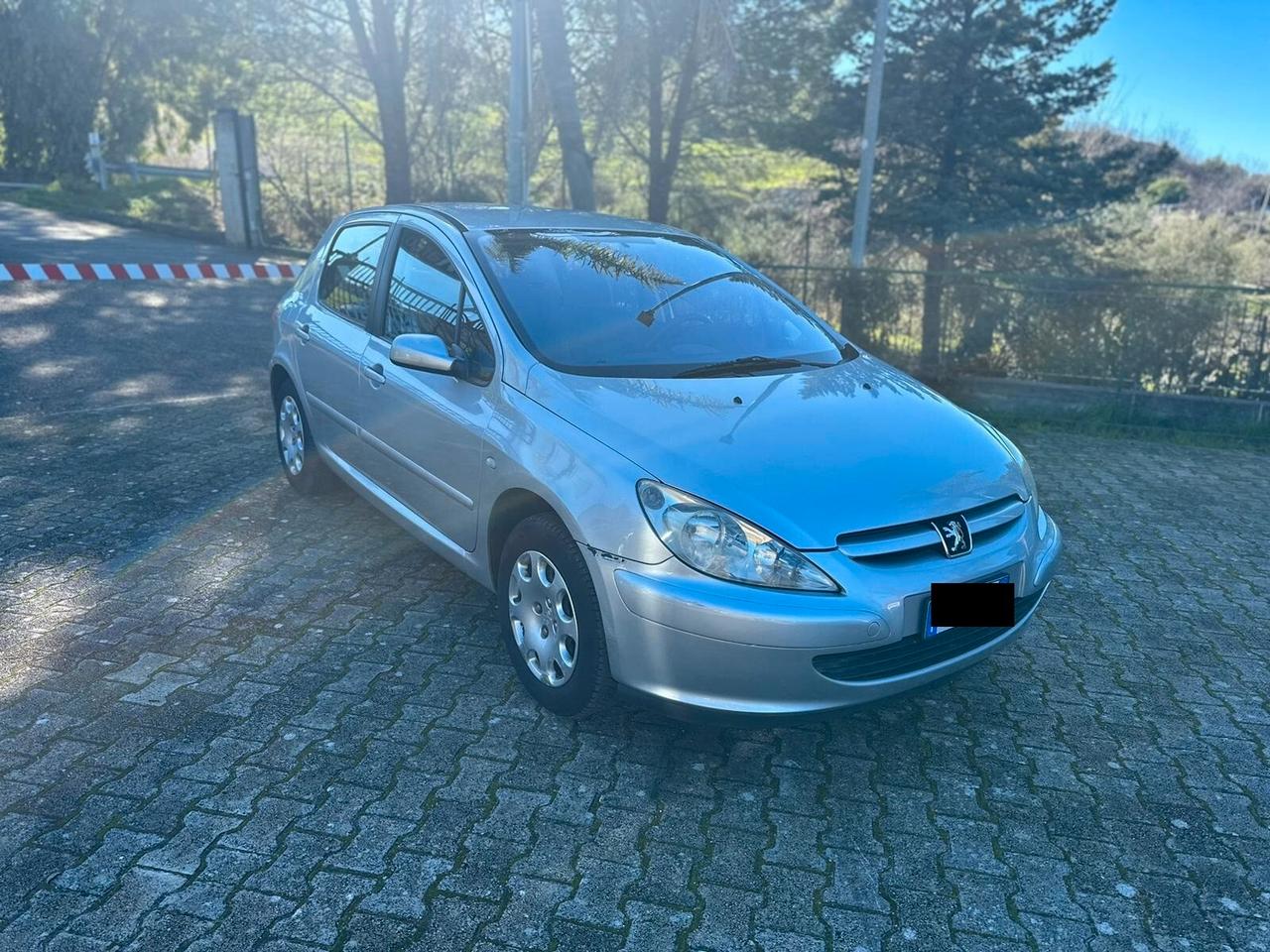 Peugeot 307 1.4 16V 5p. Open