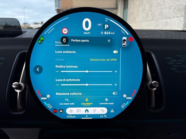 MINI Countryman D Classic Countryman CERCHI DA 19''.