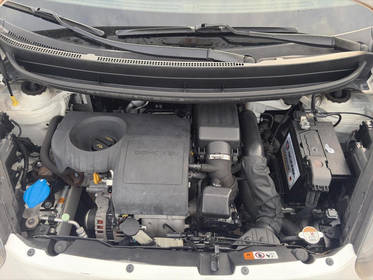 Kia Picanto 1.0 EcoGPL68cv Cool FULL NEOPATENTATI