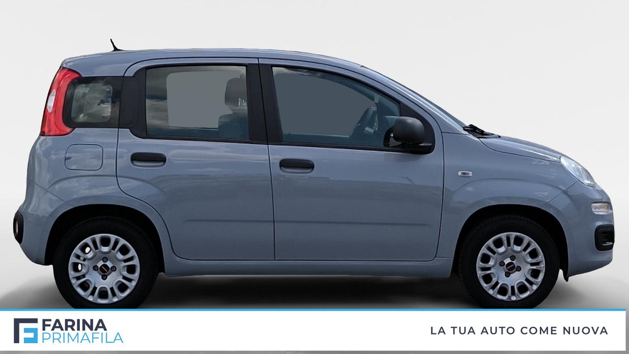 FIAT Panda III 2016 - Panda 1.2 Easy easypower Gpl 69cv my19