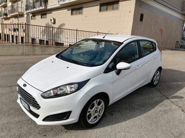 Ford Fiesta 1.5 TDCi 75CV 5 porte Titanium 2014