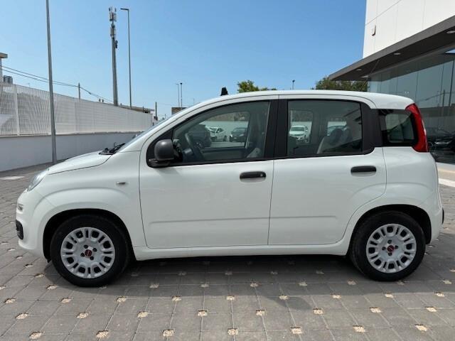 Fiat Panda 1.2 Easy 69 cv 2016