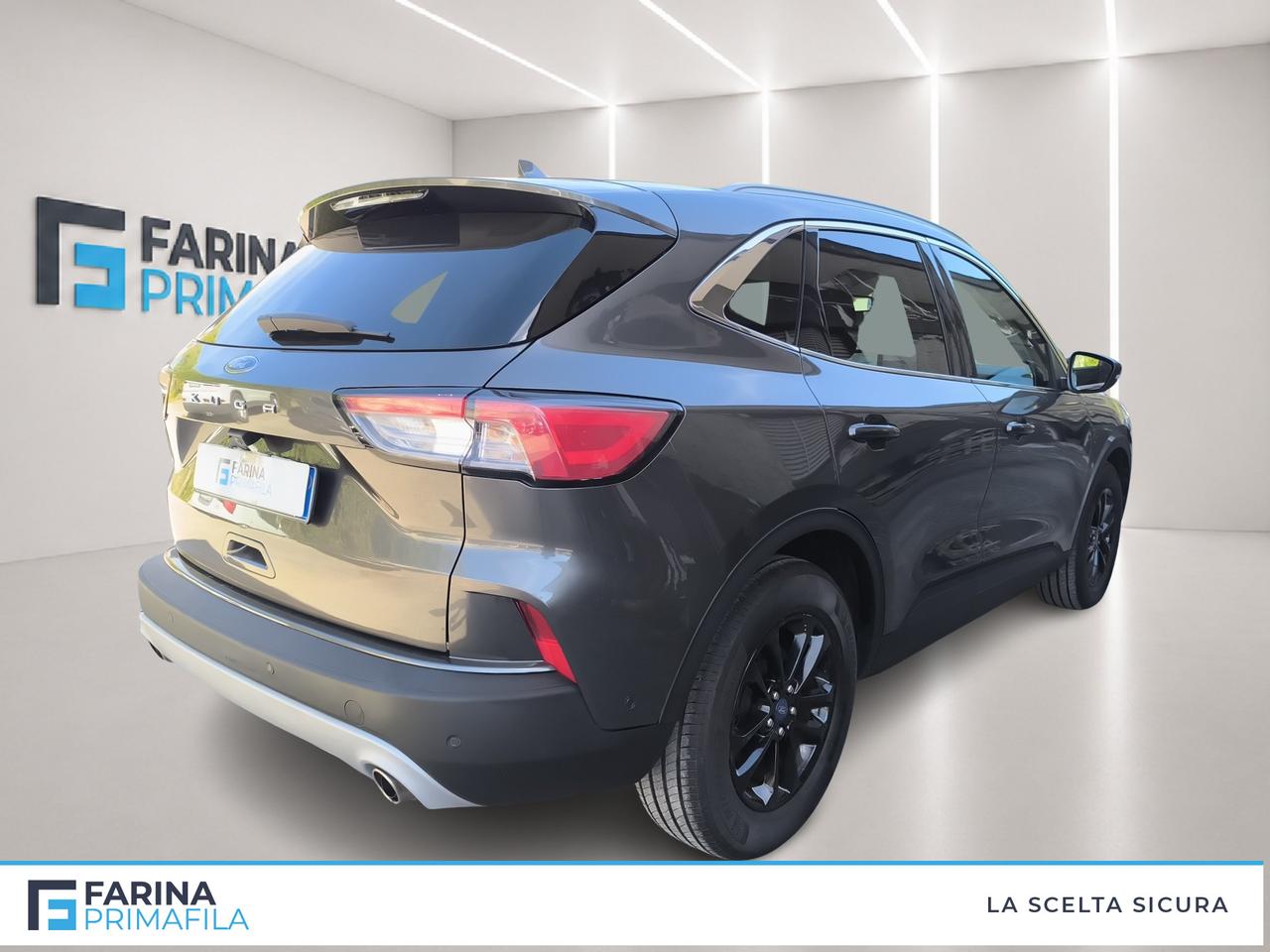 FORD Kuga III 2020 - Kuga 1.5 ecoblue Titanium Business 2wd 120cv