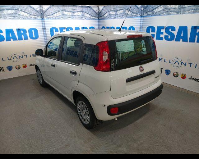 FIAT Pandina 1.0 firefly hybrid Pop s&s 65cv