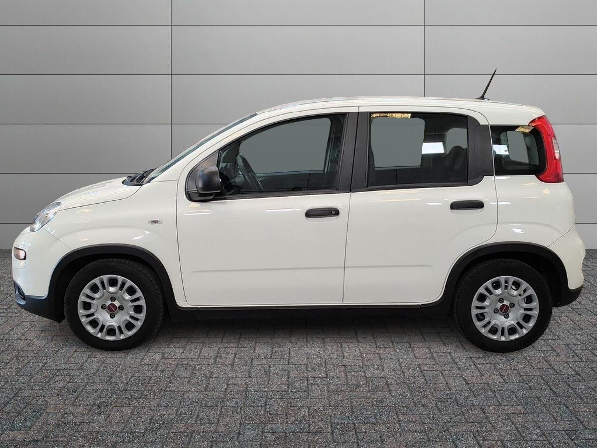 FIAT Panda III 2021 - Panda 1.0 firefly hybrid s&s 70cv 5p.ti