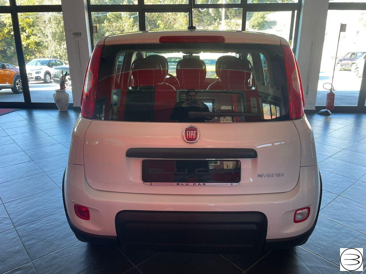 FIAT - Panda - 1.0 FireFly S&S Hybrid City Life