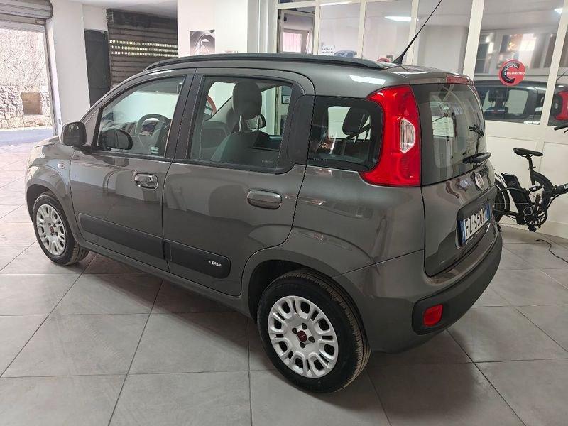 FIAT Panda Panda 1.2 Easy 5 POSTI