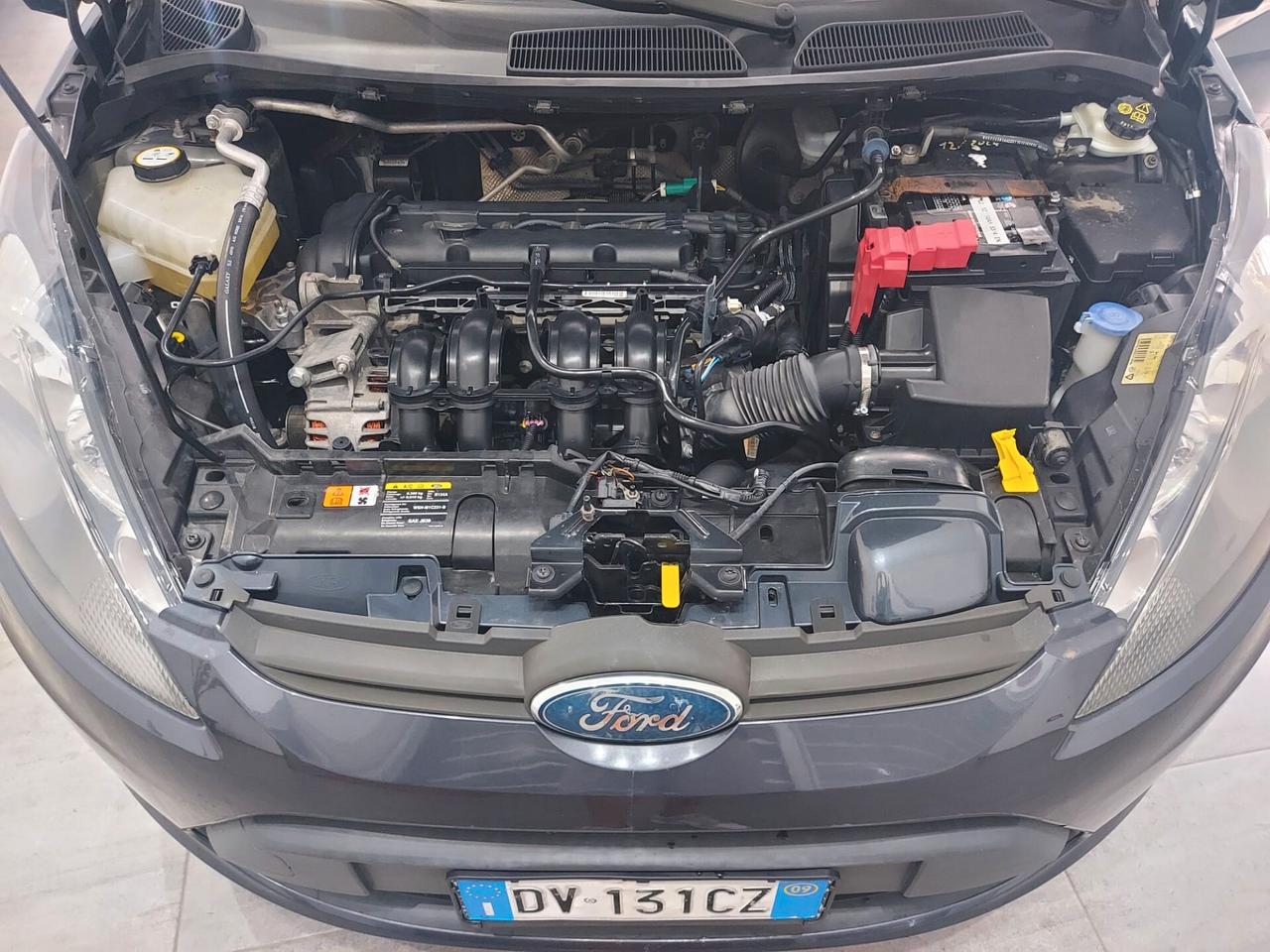 Ford Fiesta 1.2 82 CV 5 porte PLUS