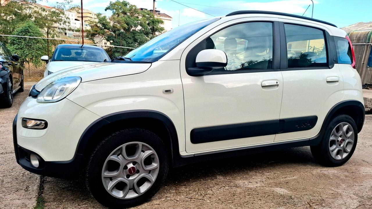 Fiat Panda 1.3 MJT S&S 4x4 Antartica
