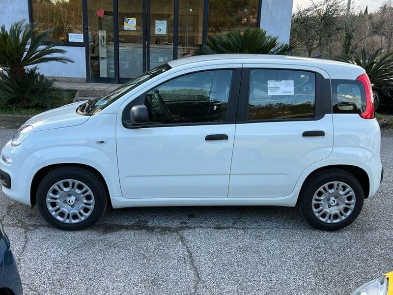 FIAT Panda New 1.0 70cv Hybrid Panda