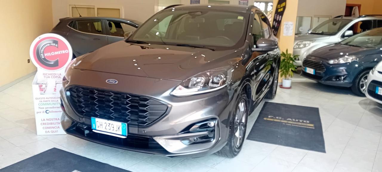 Ford Kuga 1.5 EcoBlue 120 CV aut. 2WD ST-Line