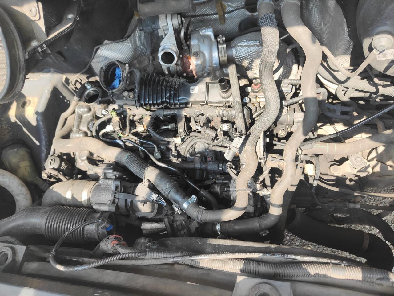 Ford TRANSIT CINGHIA DISTRIBUZIONE ROTTA