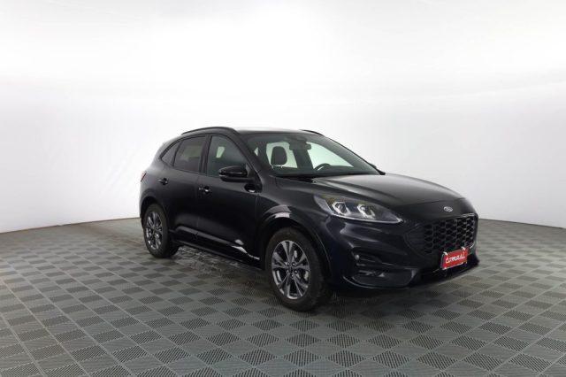 FORD Kuga Kuga 2.0 EcoBlue 120CV aut. AWD ST-Line X