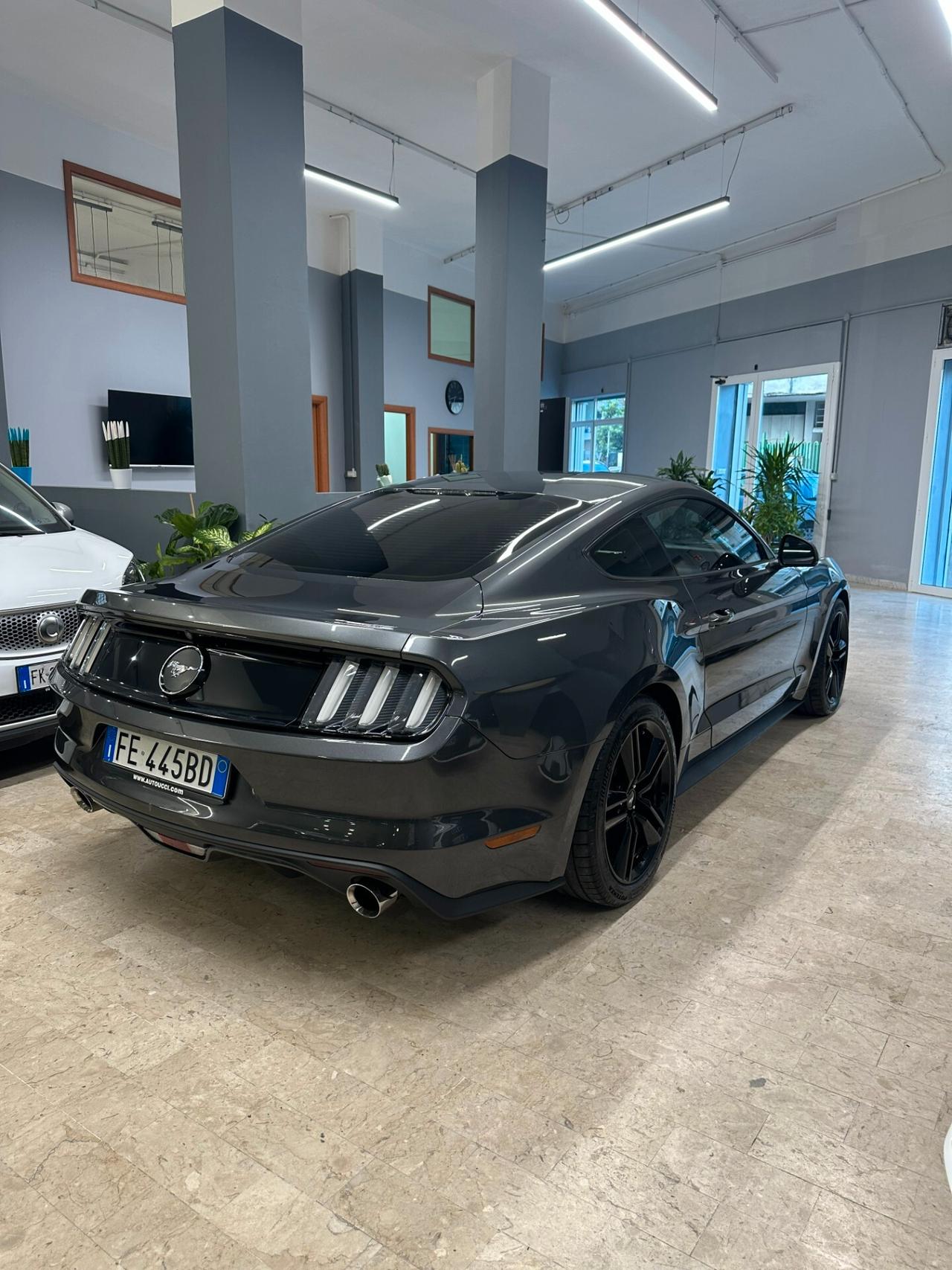 Mustang MUSTUNG