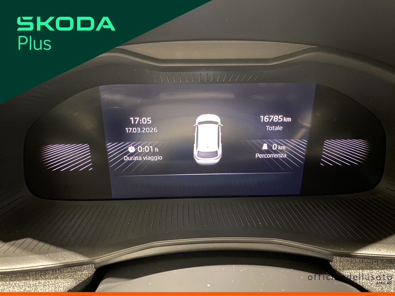 Skoda Kamiq 1.0 tsi 115cv selection dsg