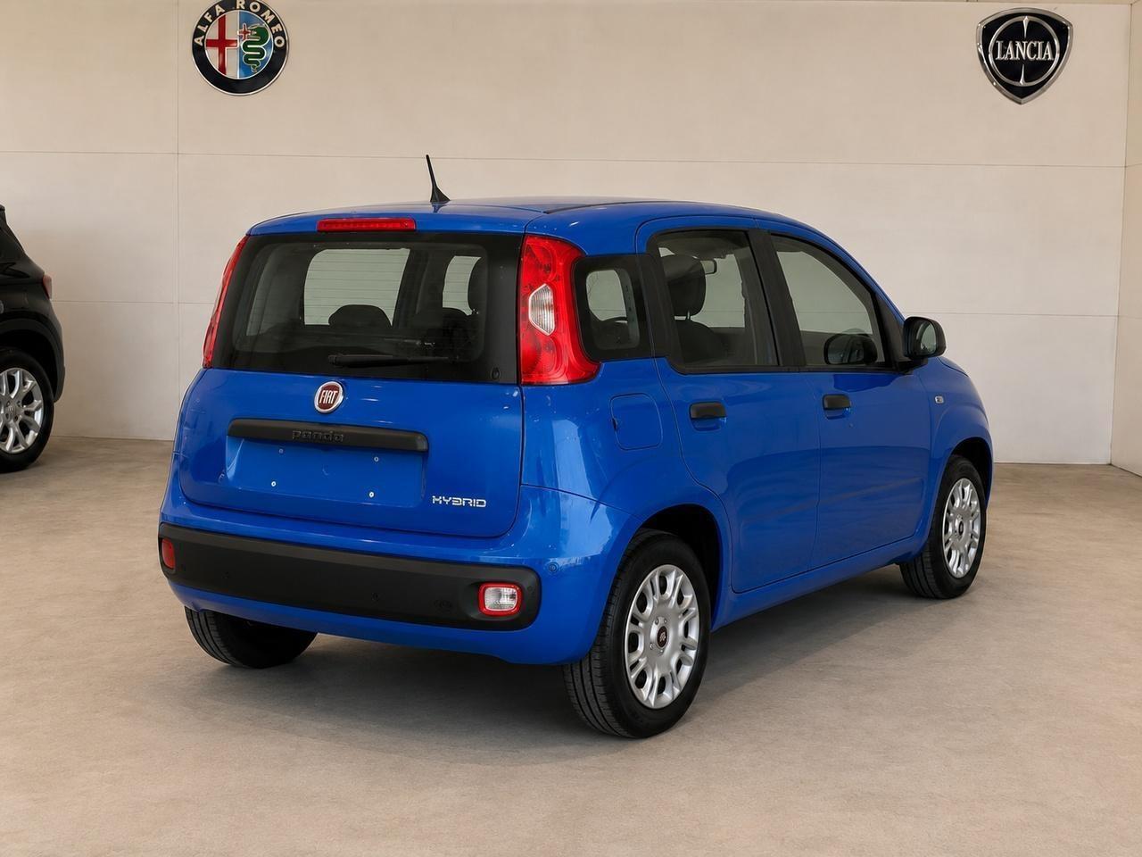 FIAT Pandina III 2024 - Pandina 1.0 firefly hybrid Pop s&s 65cv