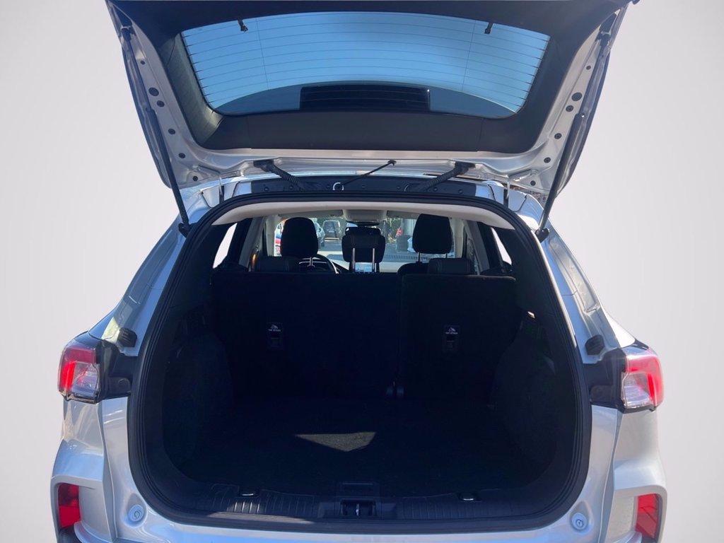 FORD Kuga 1.5 ecoblue Titanium 2wd 120cv auto del 2020