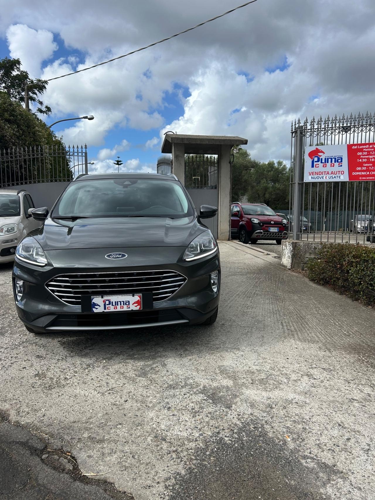 Ford Kuga 1.5 EcoBlue 120 CV 2WD ST-Line X