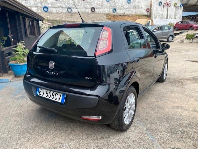 Fiat Punto Evo Punto Evo 1.3 Mjt 95 CV DPF 5 porte S&S Emotion