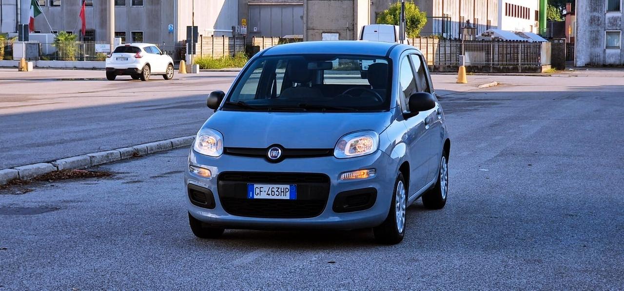 Fiat PANDA 1.0 FireFly 70cv S&S Hybrid