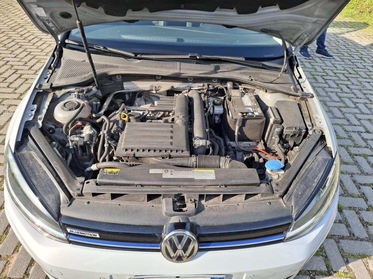 Volkswagen Golf 1.4 TGI DSG 5p. Executive BlueMotion