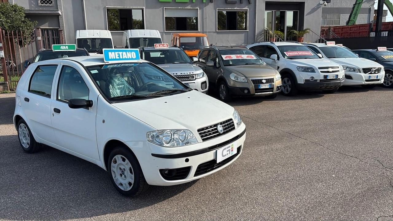 Fiat Punto 1.2 Natural Power(Auto ex-comune di torino)