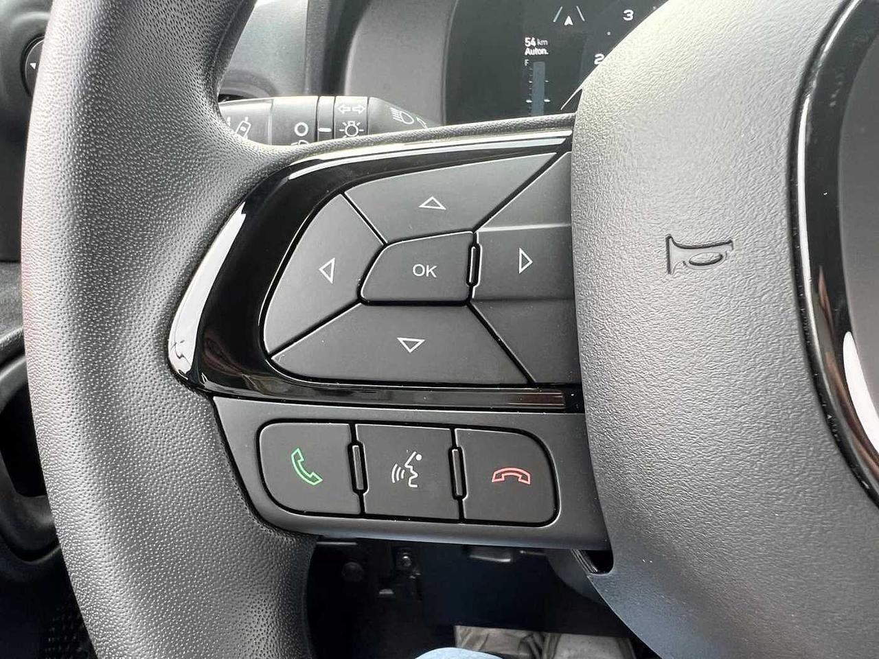 Fiat Panda 1.0 FireFly S&S Hybrid Icon