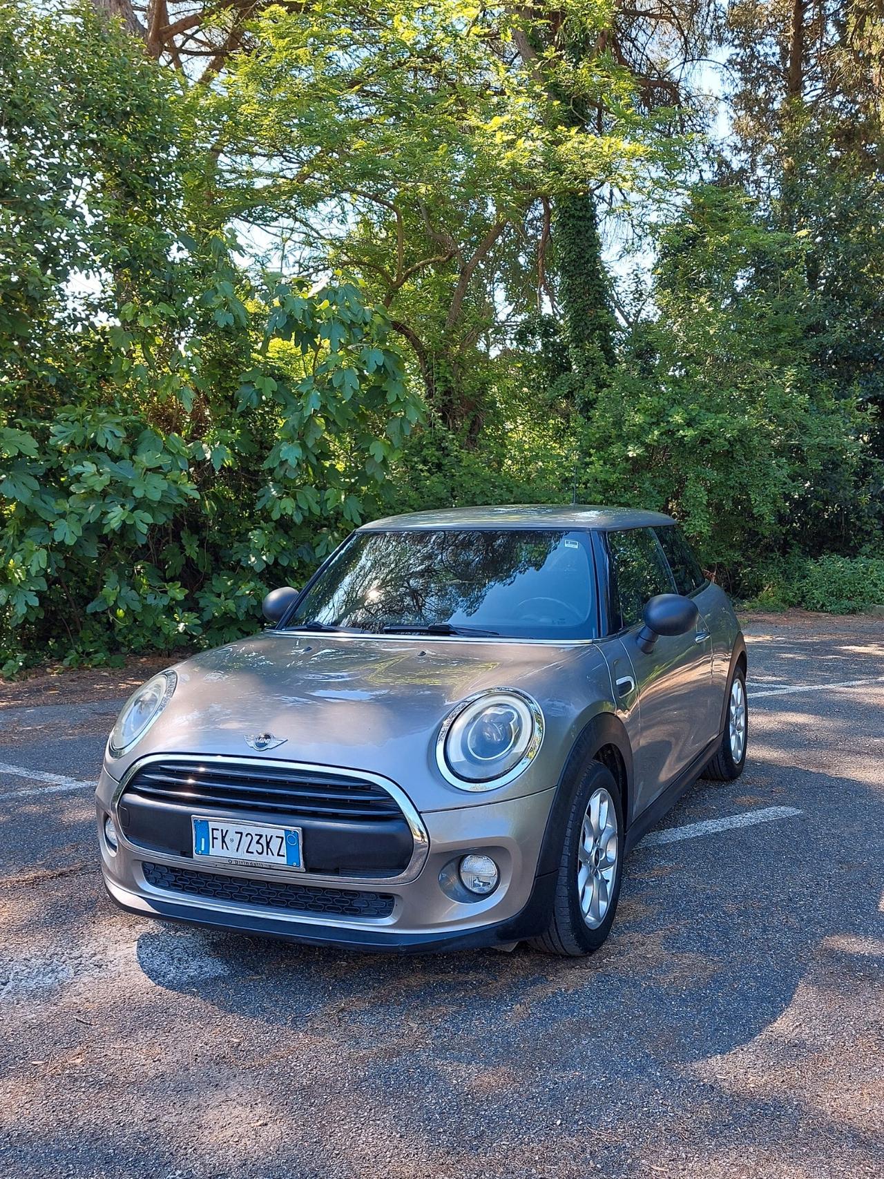 Mini One D Hype