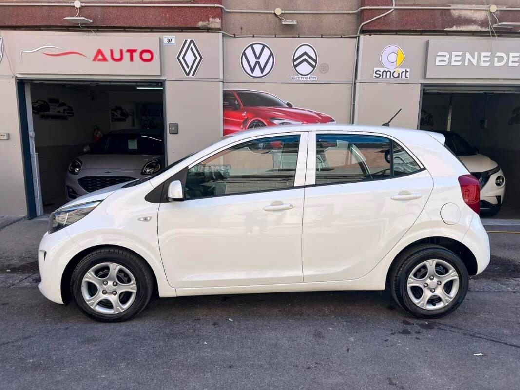 Kia Picanto 1.0 12V 5 porte Cool 2019