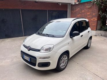 FIAT Panda 1.2 Easy euro 6 benzina distribuzione eseguita