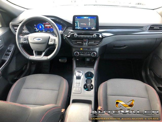FORD Kuga 1.5 EcoBlue 120 CV Cambio aut. ST-Line