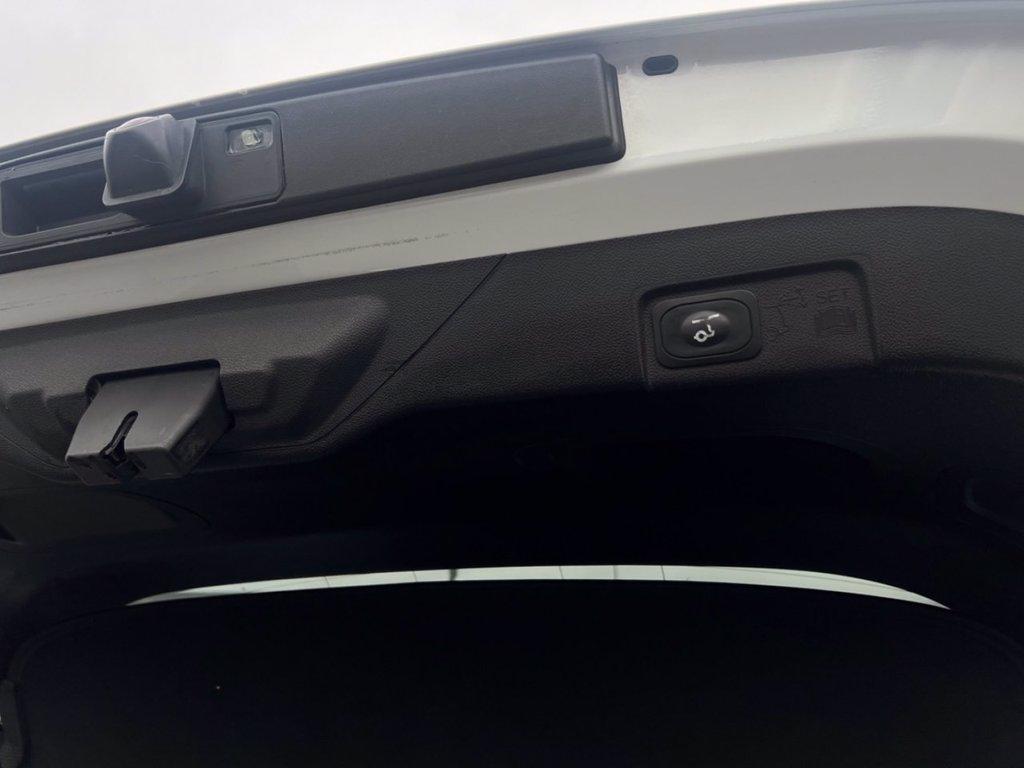 FORD Puma 1.0 EcoBoost Hybrid 125 CV S&S ST-Line del 2020