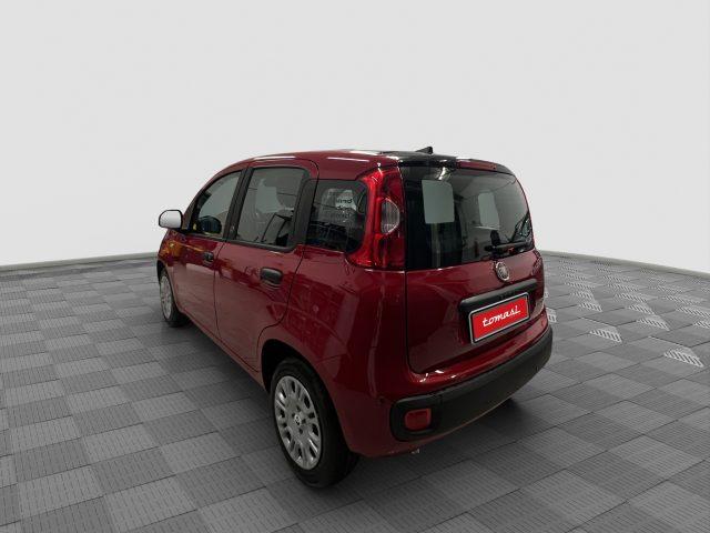 FIAT Panda Pandina 1.0 FireFly 65 CV Hybrid Icon