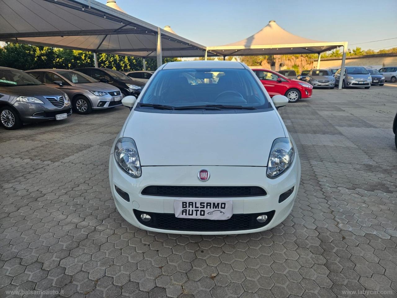 FIAT Punto 1.3 MJT 95CV 5p. Van N1