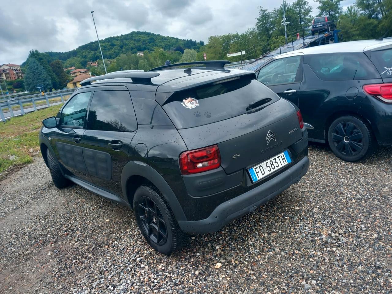 Citroen C4 Cactus BlueHDi 100 S&S Live