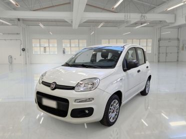 FIAT PANDA 1.2 69 CV SES E6D-TEMP EASY 5 PORTE BERLINA