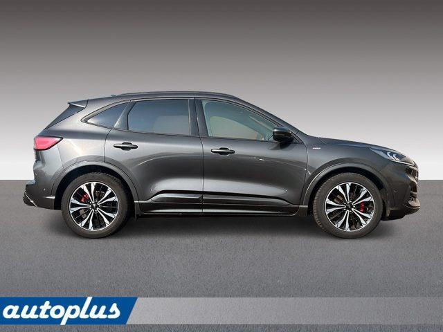 FORD Kuga 2.0 EcoBlue Hybrid 150 CV 2WD ST-Line X