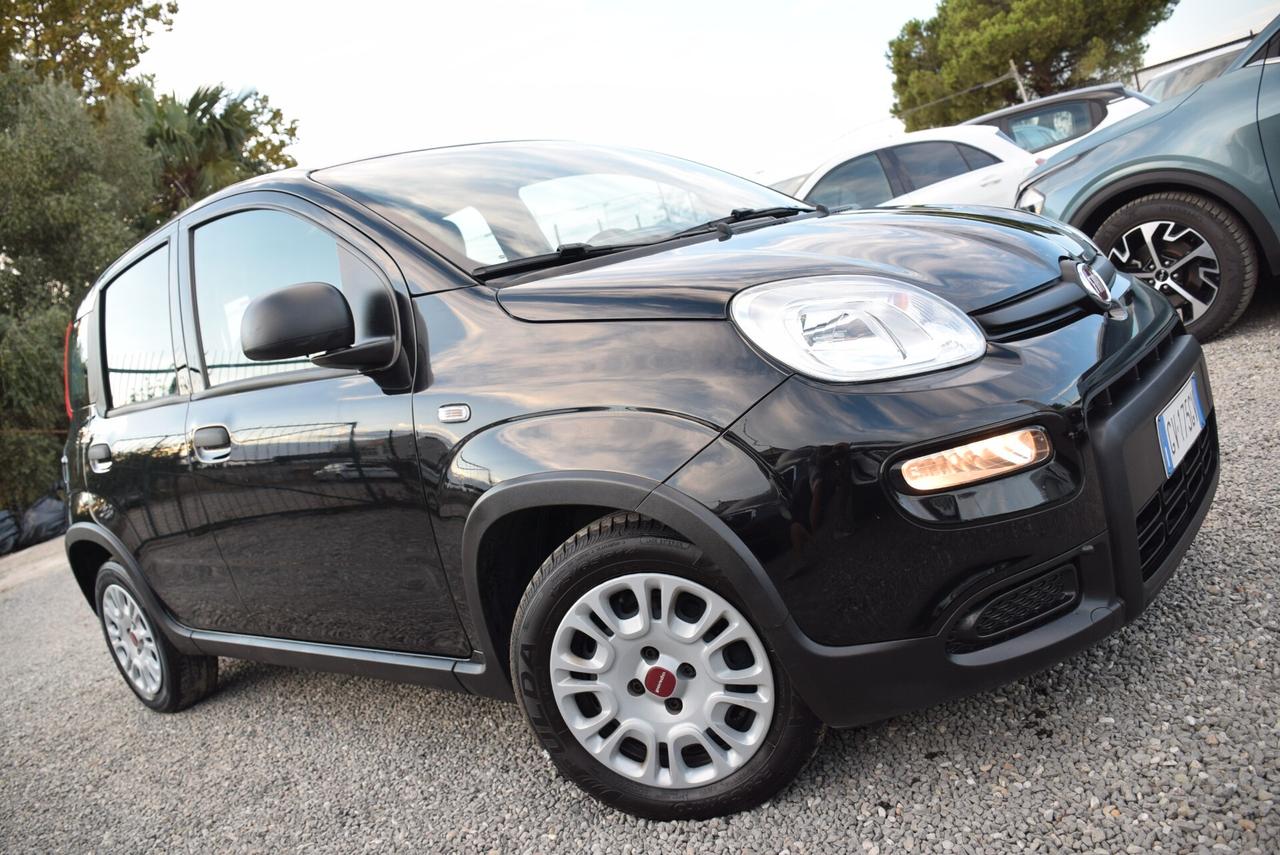 Fiat Panda 1.0 FireFly Hybrid CLIMA BT OK NEOPATENTATI IVA DETR.