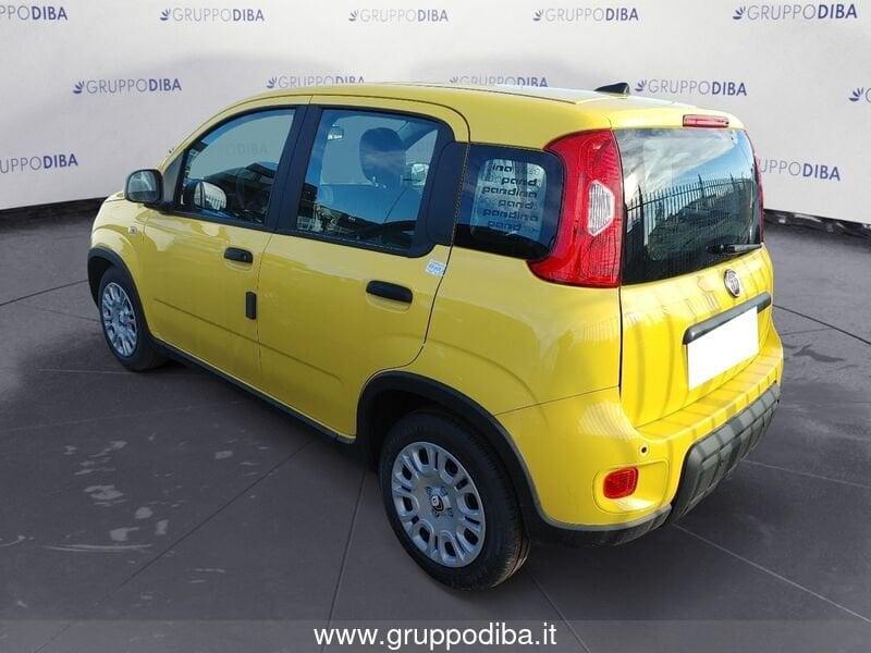 FIAT Panda III 2024 1.0 firefly hybrid s&s 70cv