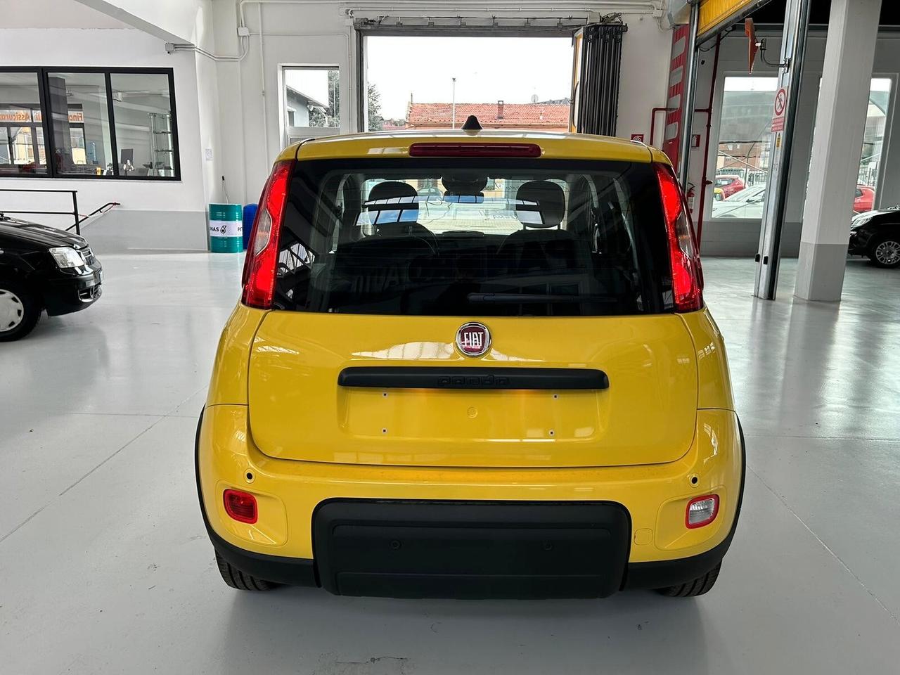 FIAT Panda 3ª serie Panda 1.0 FireFly S&S Hybrid