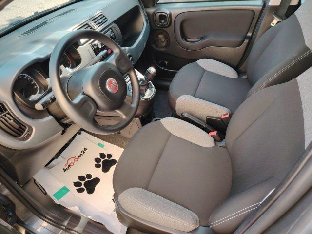 FIAT Panda 1.0 FireFly S&S Hybrid NEOPATENTATI - PREZZO REALE