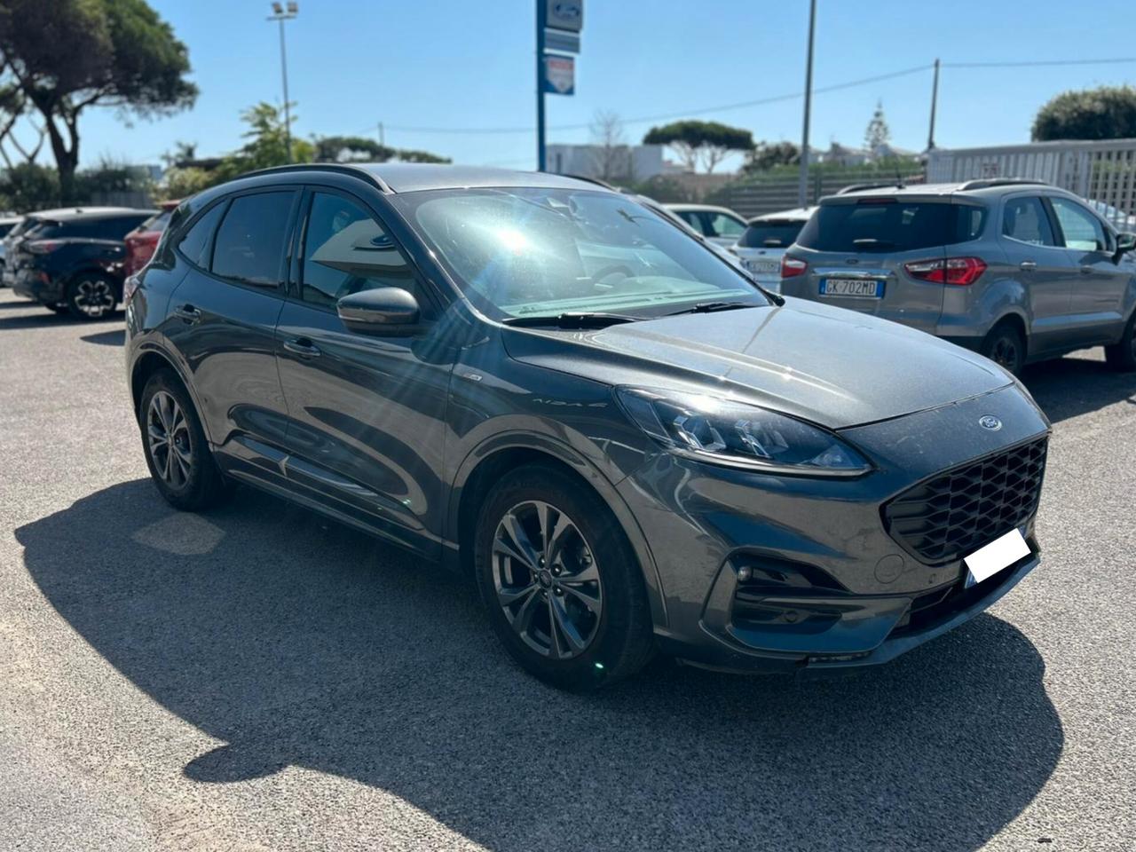 Ford Kuga 1.5 EcoBlue 120 CV 2WD ST-Line