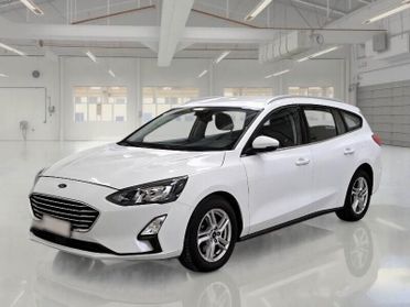 Ford Focus Focus 1.5 EcoBlue 120 CV automatico SW Business Co-Pilot